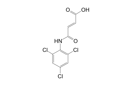3-(2,4,6-Trichlorophenylcarbamoyl)acrylic acid