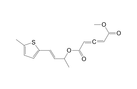 2,3-Pentadienedioic acid, methyl 1-methyl-3-(5-methyl-2-thienyl)-2-propenyl ester