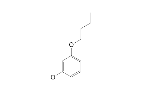 m-Buoxyphenol