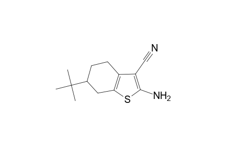 2-Amino-6-tert-butyl-4,5,6,7-tetrahydro-1-benzothiophene-3-carbonitrile