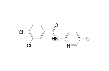 benzamide, 3,4-dichloro-N-(5-chloro-2-pyridinyl)-