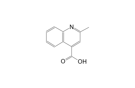 2-methylcinchoninic acid