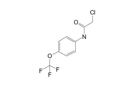 N1-[4-(Trifluoromethoxy)phenyl]-2-chloroacetamide