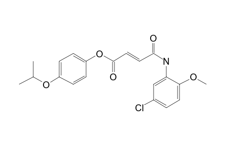 Fumaric acid, monoamide, N-(5-chloro-2-methoxyphenyl)-, 4-isopropoxyphenyl ester