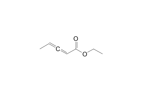 2,3-Pentadienoic acid, ethyl ester