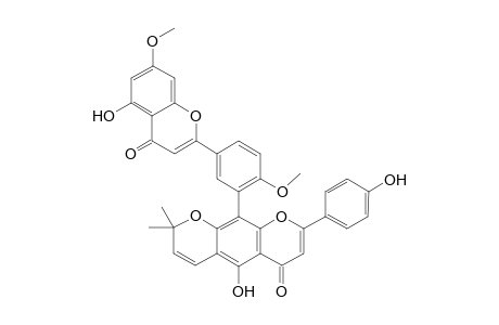 Pyrano-amentoflavone - 7,4'-Dimethyl Ether