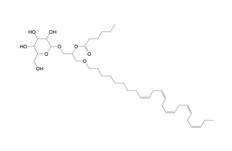 MGDG O-24:5_6:0