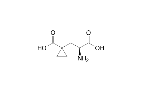 1-[(2S)-2-azanyl-3-oxidanyl-3-oxidanylidene-propyl]cyclopropane-1-carboxylic acid
