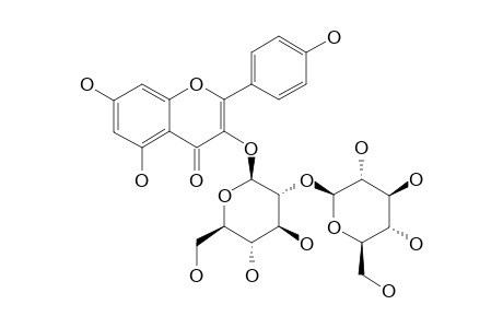KAEMPFEROL-3-O-BETA-D-(2-O-BETA-D-GLUCOPYRANOSYL)-GLUCOPYRANOSIDE