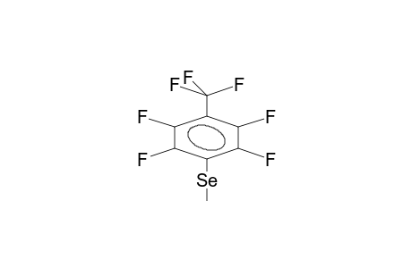 4-TRIFLUOROMETHYL-2,3,5,6-TETRAFLUOROPHENYLMETHYLSELENIDE