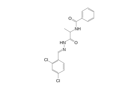 N-[1-[(2E)-2-[(2,4-dichlorophenyl)methylidene]hydrazinyl]-1-oxidanylidene-propan-2-yl]benzamide