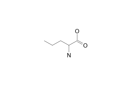 norvaline