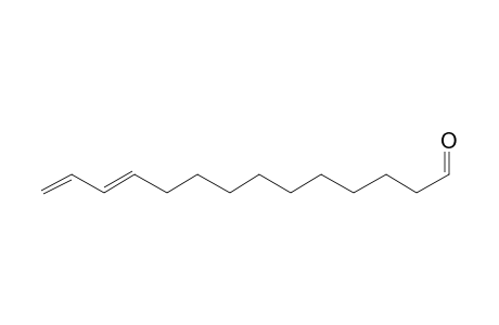 E-11,13-Tetradecadienal