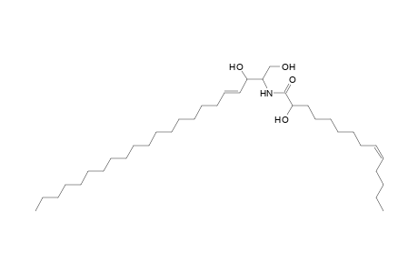 Cer 22:1;2O/14:1;(2OH)