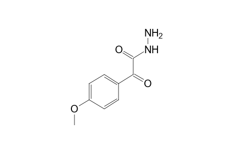 (p-methoxyphenyl)glyoxylic acid, hydrazide
