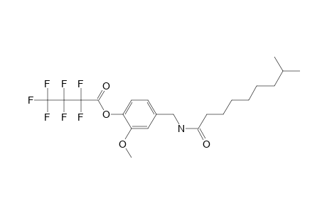 Dihydrocapsaicin, o-heptafluorobutyryl-