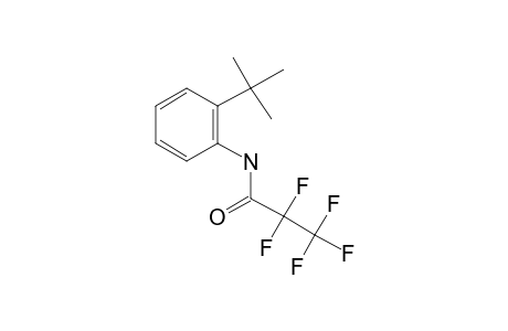 2-Tert-butylaniline, N-pentafluoropropionyl-