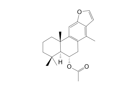 SUCUTINIRANE_C