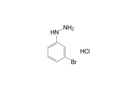 3-Bromophenylhydrazine hydrochloride