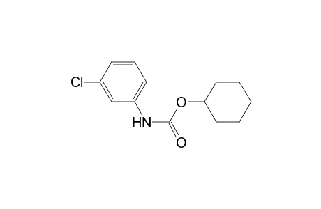 m-chlorocarbanilic acid, cyclohexyl ester