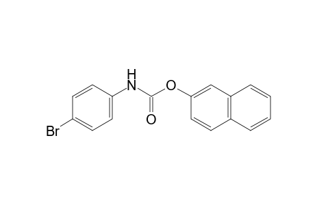 p-Bromocarbanilic acid, 2-naphthyl ester