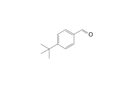 4-tert-Butylbenzaldehyde