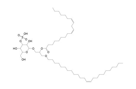 SMGDG O-24:1_19:2