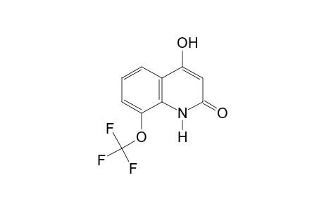 4-hydroxy-8-(trifluoromethoxy)carbostyril