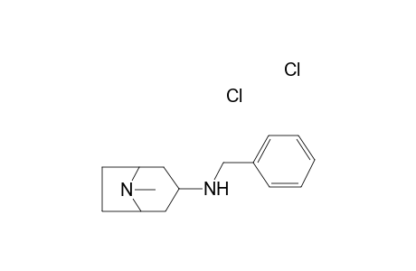 N-Benzyl-8-methyl-8-azabicyclo[3.2.1]octan-3-amine dihydrochloride