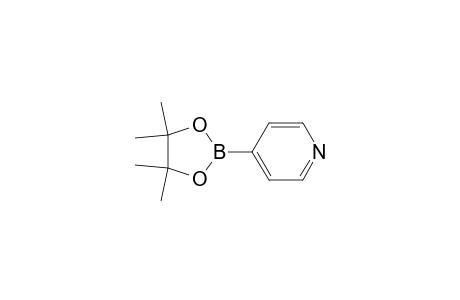 4-Pyridineboronic acid pinacol ester