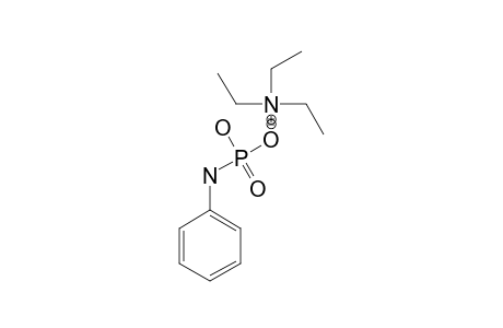 TRIETHYLAMMONIUM-PHENYLPHOSPHORAMIDATE