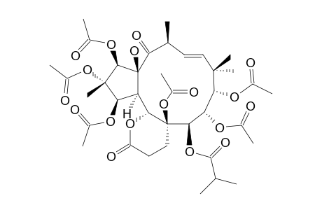 TERRACINOLIDE-I;(1R*,2S*,3R*,4R*,5R*,6S*,7R*,8S*,9S*,13S*,15S*)-1,2,3,6,8,9-HEXAACETOXY-5,21-EPOXY-15-HYDROXY-7-ISOBUTYROYLOXY-14,21-DIOXO-17-ETHY