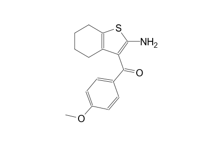 2-amino-3-(4-methoxybenzoyl)-4,5,6,7-tetrahydrobenzothiophene