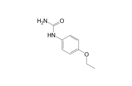 (p-ethoxyphenyl)urea