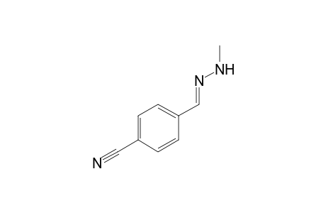tetraphthalaldehydonitrile, methylhydrazone