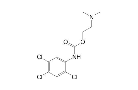 2,4,5-trichlorocarbanilic acid, 2-(dimethylamino)ethyl ester