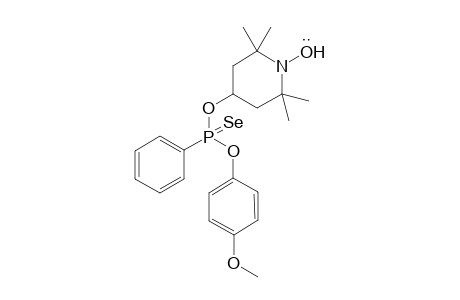 Phenylselenophosphonic 2,2,6,6-tetramethyl-1-oxyl-4-oxypiperidyl 4-methoxyphenoxide