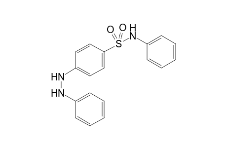Benzenesulfonamide, N-phenyl-4-(2-phenylhydrazinyl)-