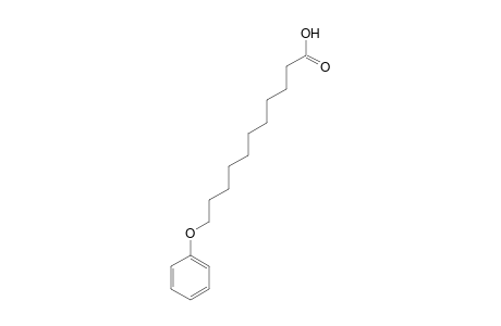 11-Phenoxyundecanoic acid