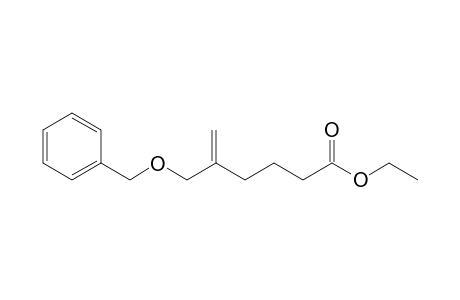 5-(Benzoxymethyl)hex-5-enoic acid ethyl ester