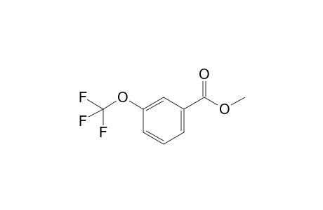 Methyl 3-trifluoromethoxybenzoate