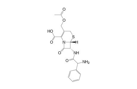 Cephaloglycin in kbr