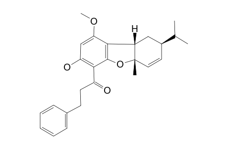 ADUNCTIN-B