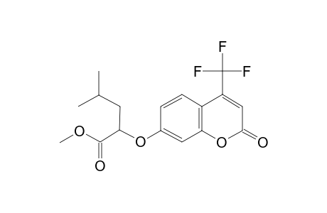 4-Methyl-2-(2-oxo-4-trifluoromethyl-2H-chromen-7-yloxy)-pentanoic acid methyl ester