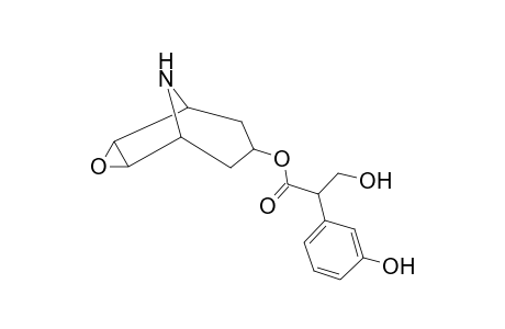 Scopolamine-M (nor-HO-ring) MS2