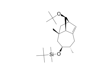 (1R*,5S*,6S*,8S*,9S*,10R*)-10-TERT.-BUTOXY-6-TERT.-BUTYLDIMETHYLSILOXY-5,8-DIMETHYLTRICYCLO-[6.2.1.0-(3,9)]-UNDEC-2-ENE