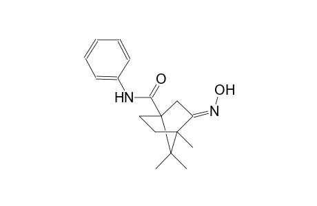 (3E)-3-(hydroxyimino)-4,7,7-trimethyl-N-phenylbicyclo[2.2.1]heptane-1-carboxamide