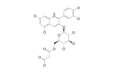 CYANIDIN-3-O-(6''-MALONYL-BETA-GLUCOPYRANOSIDE)