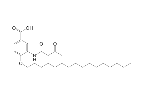 3-acetoacetamido-4-(hexadecyloxy)benzoic acid