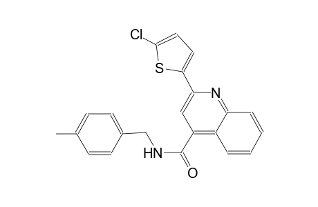 2-(5-chloro-2-thienyl)-N-(4-methylbenzyl)-4-quinolinecarboxamide